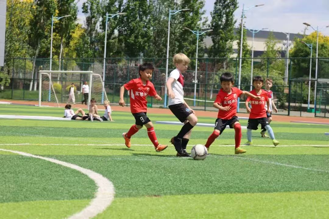 微信图片_20260506091041.jpg